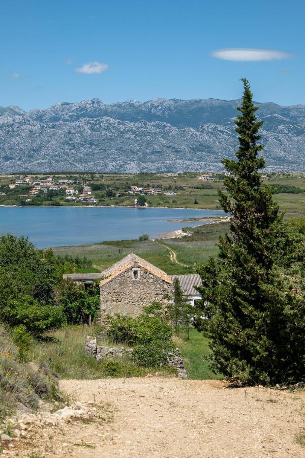 Tri Mora